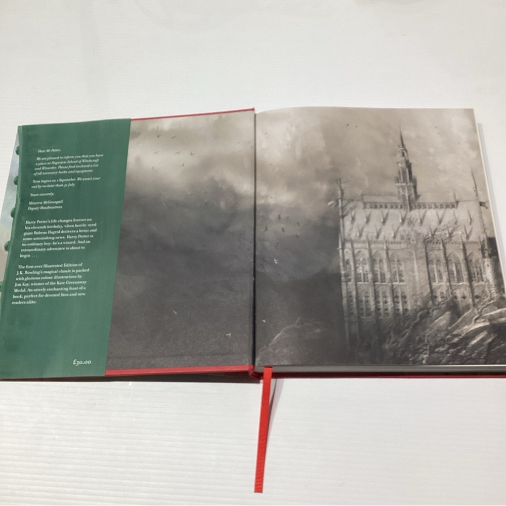 Harry Potter and the Philosopher's Stone: Illustrated Edition 1st Edition - Picture 10 of 13